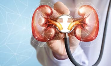 Nephrology