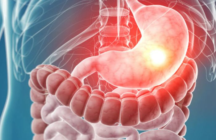 Gastroenterology