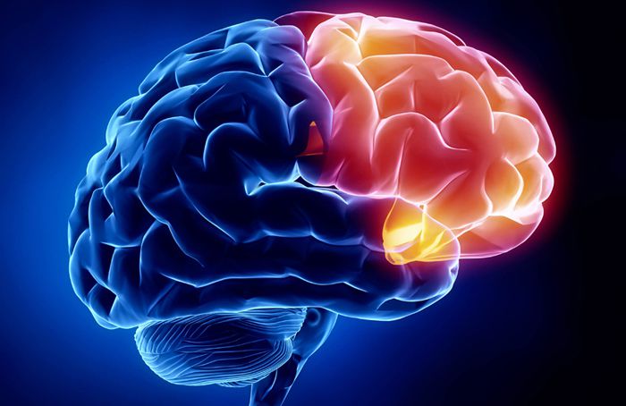 Neurology