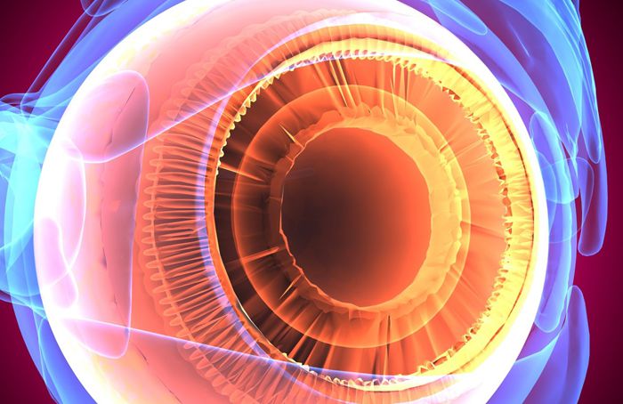 Ophthalmology