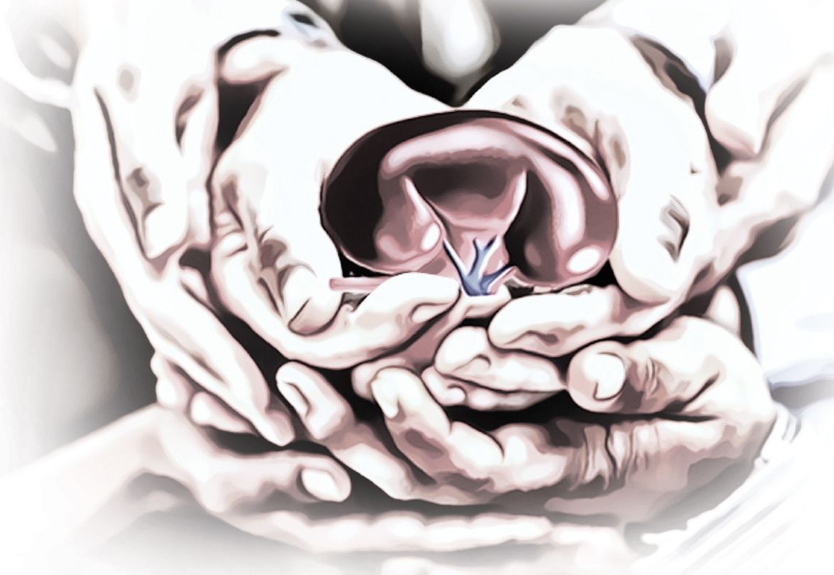 Nephrology